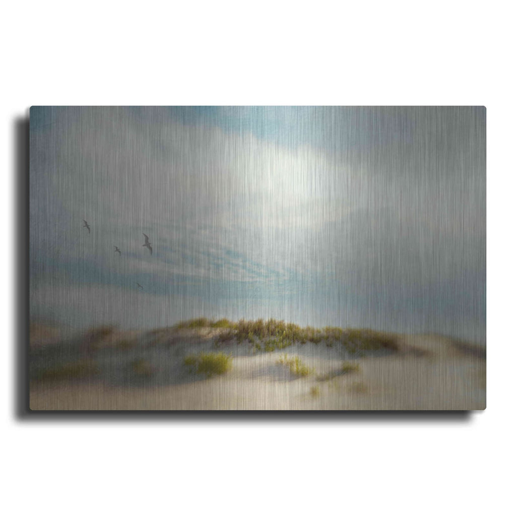 'Dunes 1' by Dawn D Hanna – Metal Wall Art