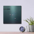 'Floating Hope' by Dawn D Hanna – Metal Wall Art, 12x12 room view