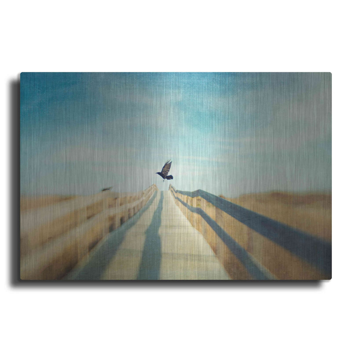 'Fly' by Dawn D Hanna – Metal Wall Art