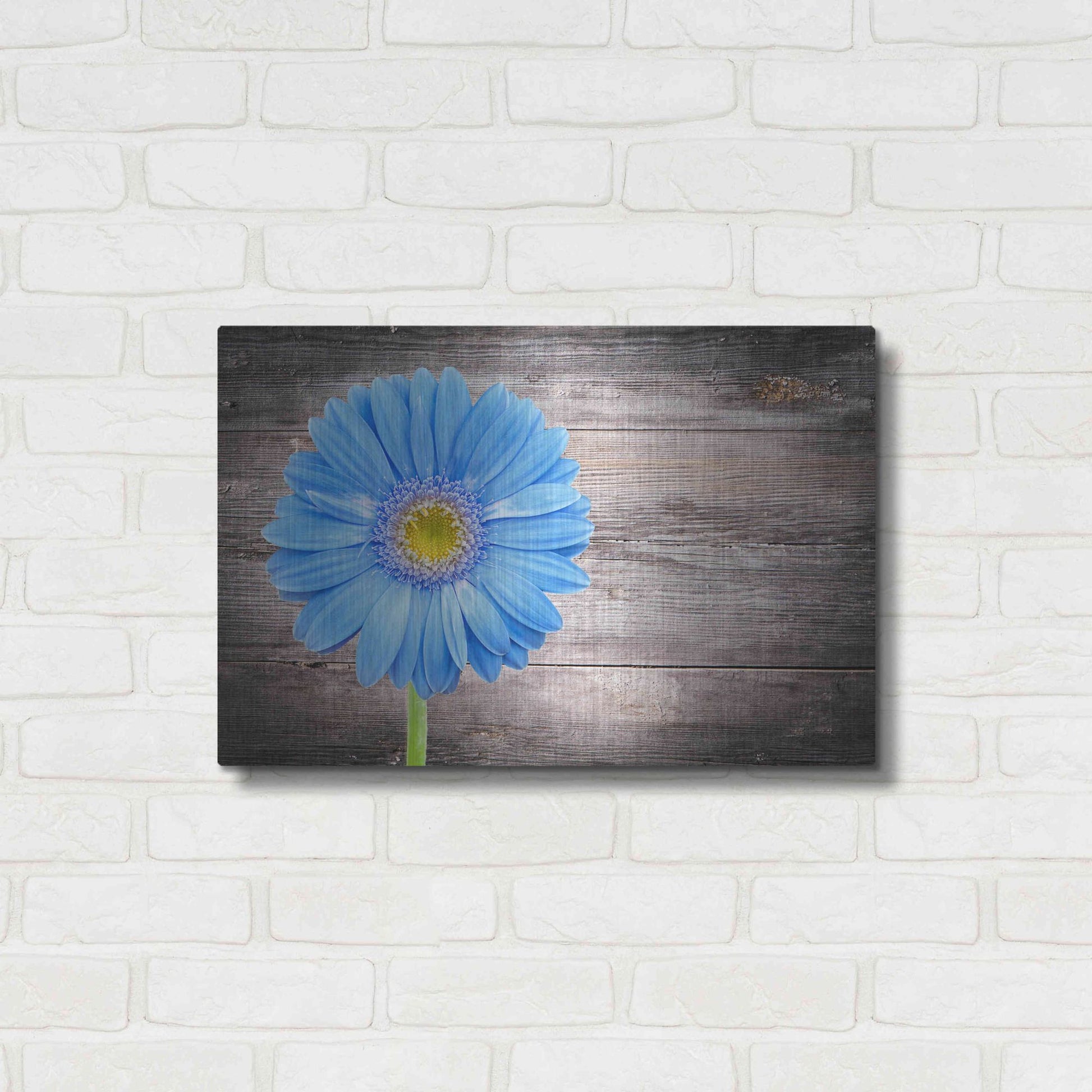 Luxe Metal Art 'Serenity' Metal Wall Art,24x16