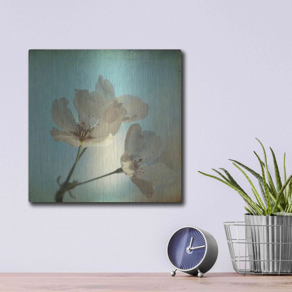 'Spring Sings' by Dawn D Hanna – Metal Wall Art, 12x12 room view