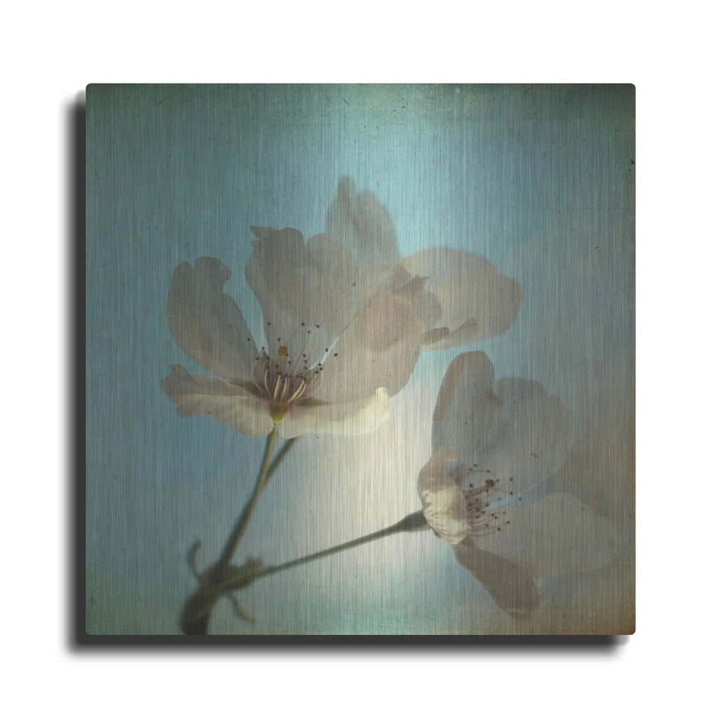 'Spring Sings' by Dawn D Hanna – Metal Wall Art