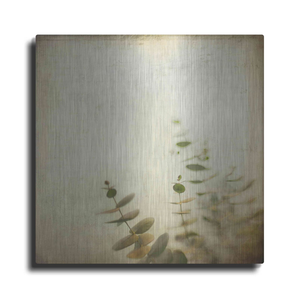 'Union' by Dawn D Hanna – Metal Wall Art