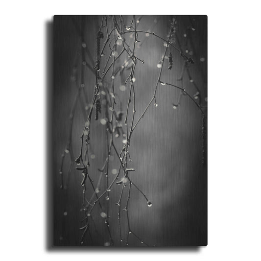 Luxe Metal Art 'Bare Branches 2017' by Gary Horsfall, Metal Wall Art