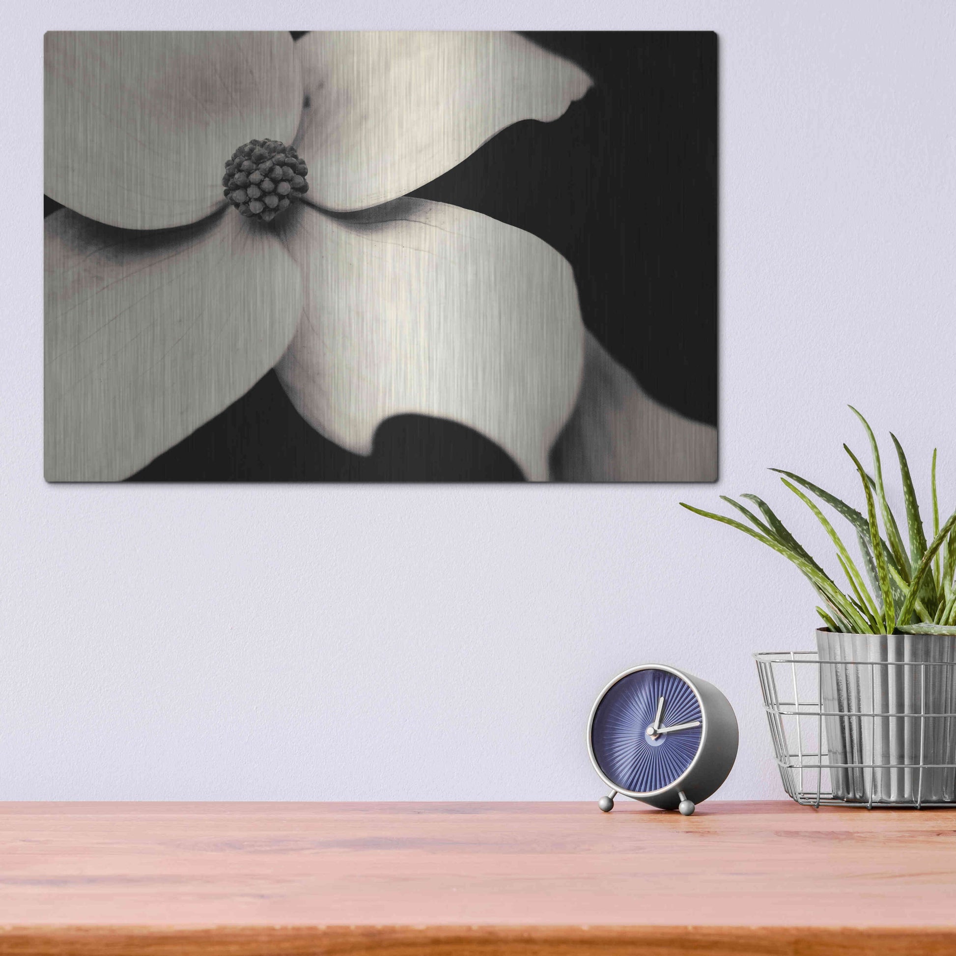 Luxe Metal Art 'Dogwood Flower' by Gary Horsfall, Metal Wall Art,16x12