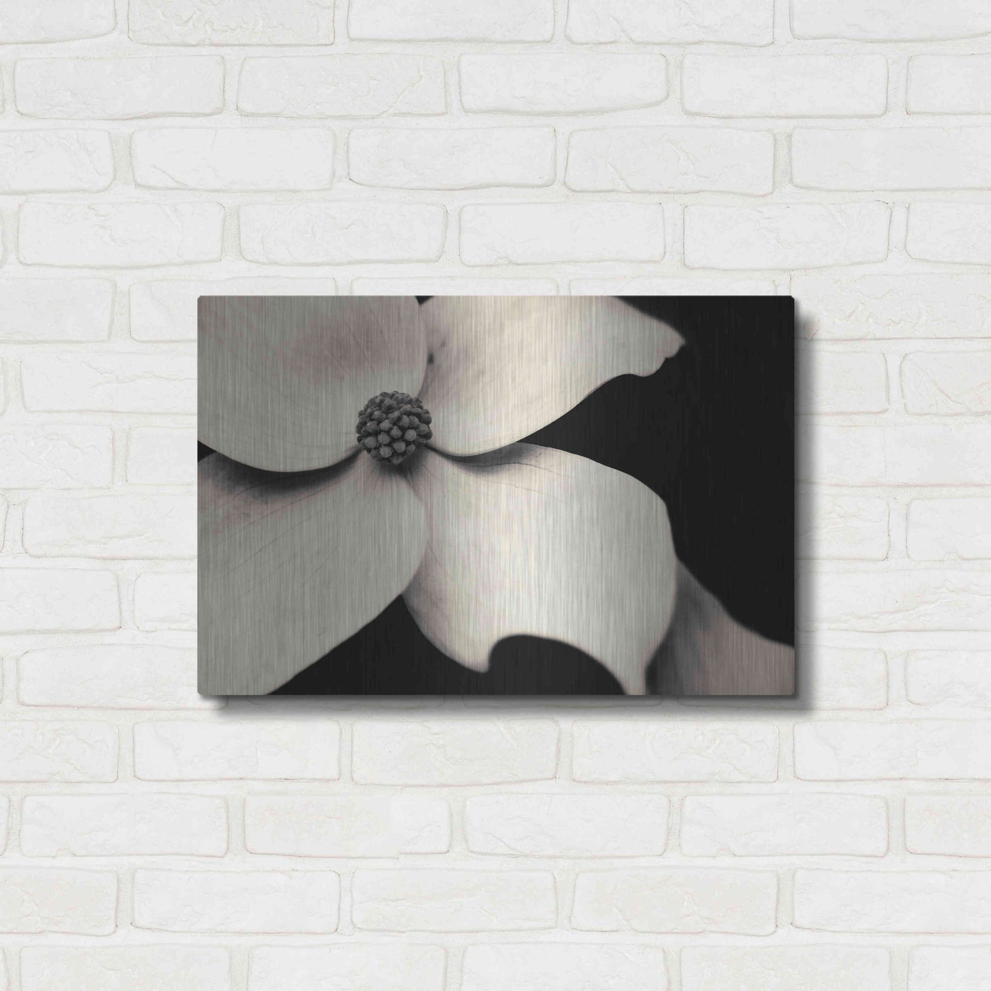 Luxe Metal Art 'Dogwood Flower' by Gary Horsfall, Metal Wall Art,24x16