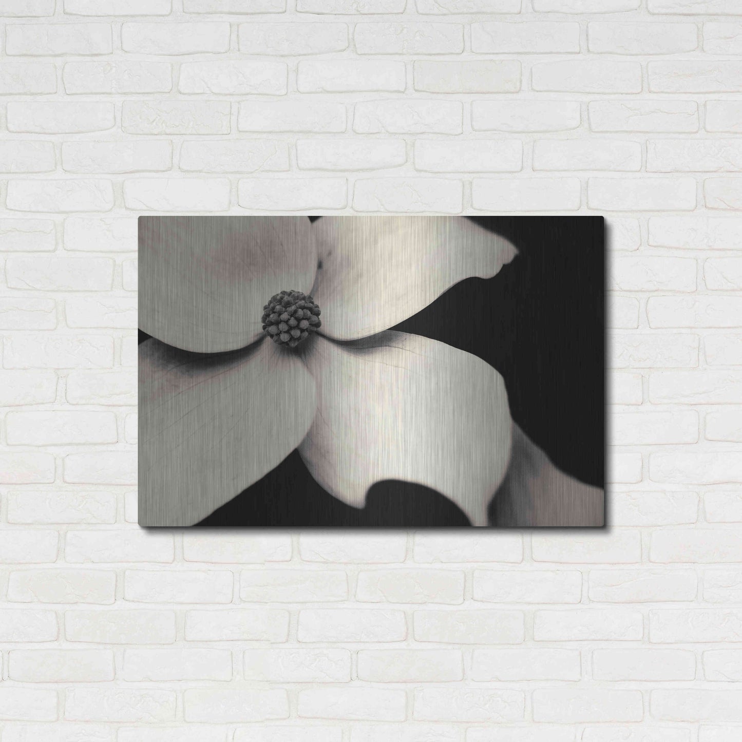 Luxe Metal Art 'Dogwood Flower' by Gary Horsfall, Metal Wall Art,36x24