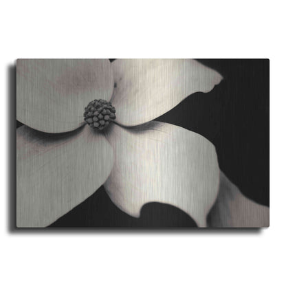 Luxe Metal Art 'Dogwood Flower' by Gary Horsfall, Metal Wall Art