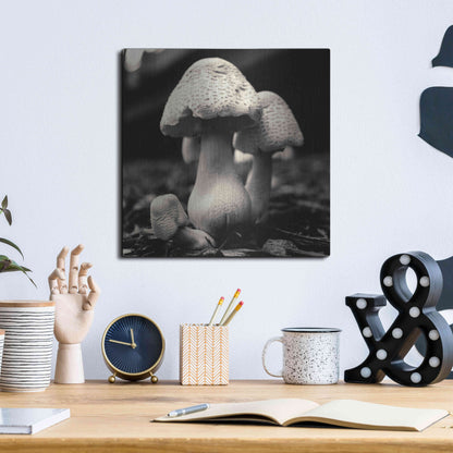 Luxe Metal Art 'Mushroom No. 3' by Gary Horsfall, Metal Wall Art,12x12