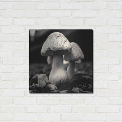 Luxe Metal Art 'Mushroom No. 3' by Gary Horsfall, Metal Wall Art,24x24