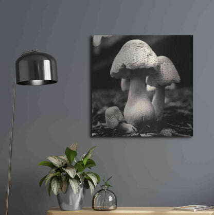 Luxe Metal Art 'Mushroom No. 3' by Gary Horsfall, Metal Wall Art,24x24