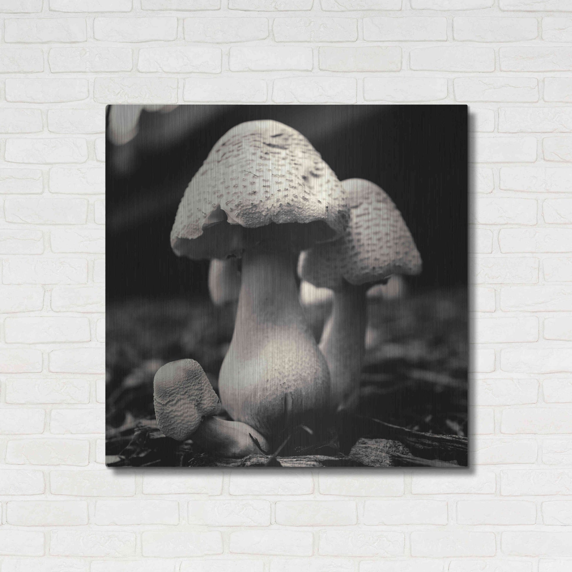 Luxe Metal Art 'Mushroom No. 3' by Gary Horsfall, Metal Wall Art,36x36