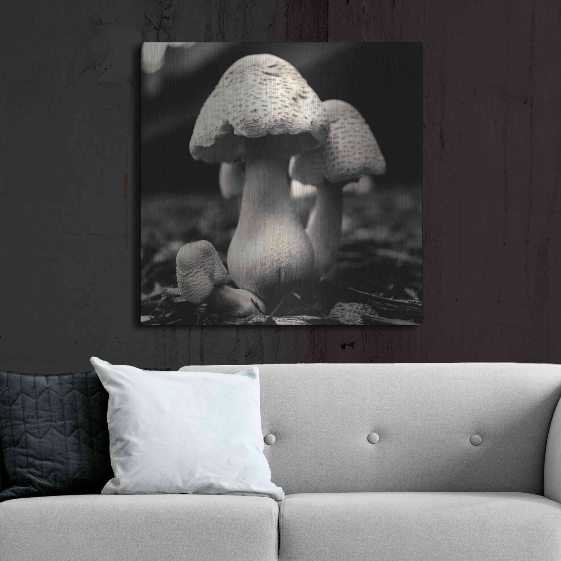 Luxe Metal Art 'Mushroom No. 3' by Gary Horsfall, Metal Wall Art,36x36