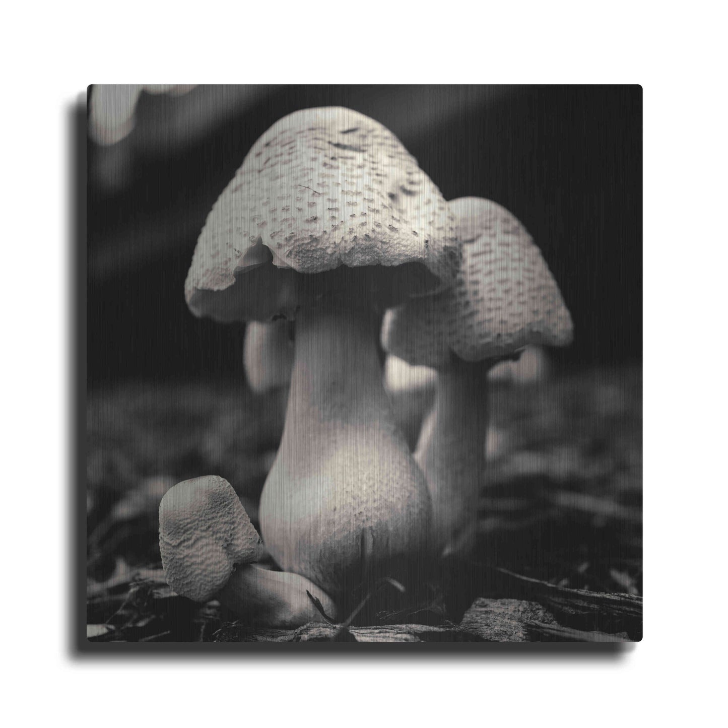 Luxe Metal Art 'Mushroom No. 3' by Gary Horsfall, Metal Wall Art