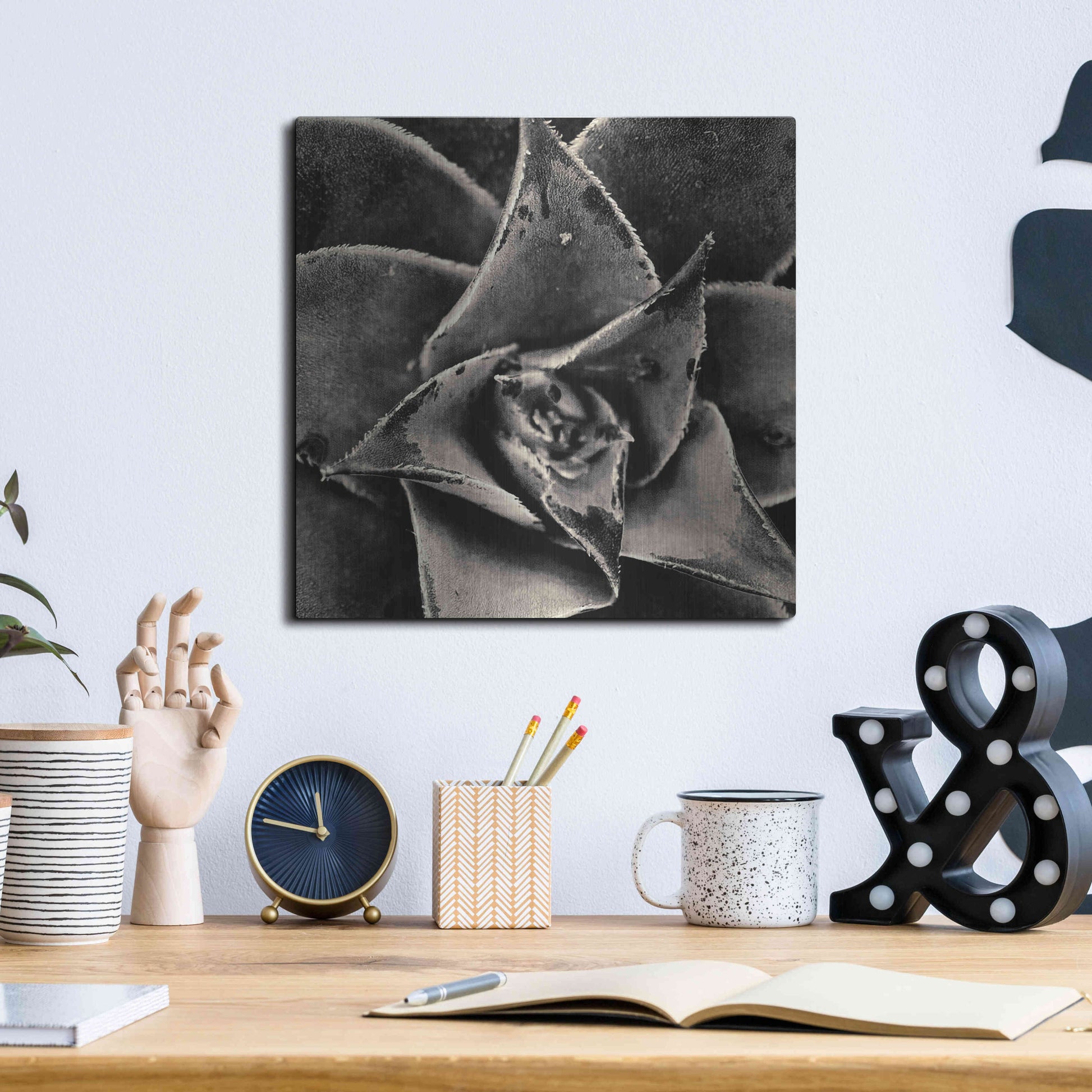 Luxe Metal Art 'Seattle Succulents' by Gary Horsfall, Metal Wall Art,12x12