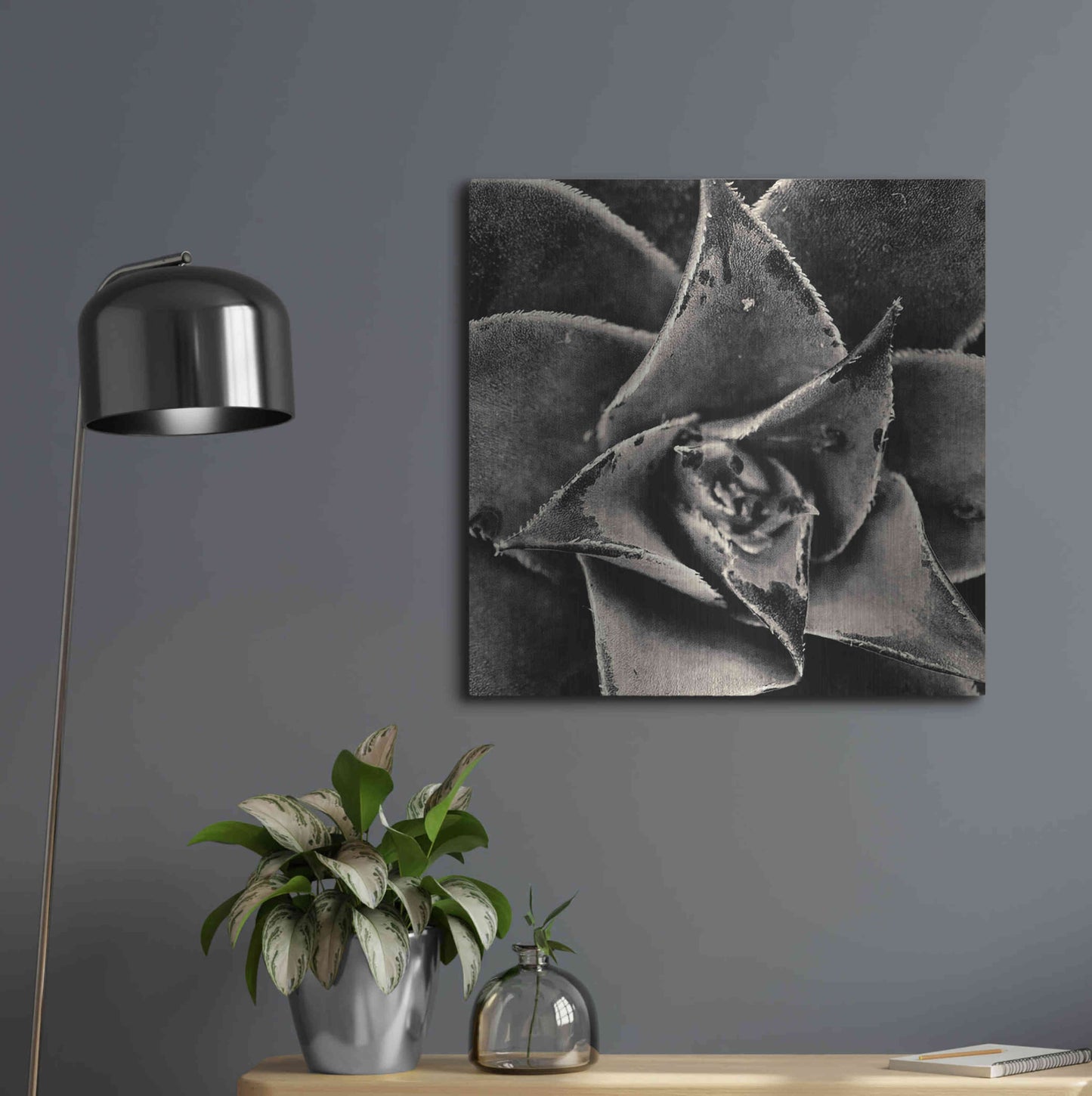 Luxe Metal Art 'Seattle Succulents' by Gary Horsfall, Metal Wall Art,24x24