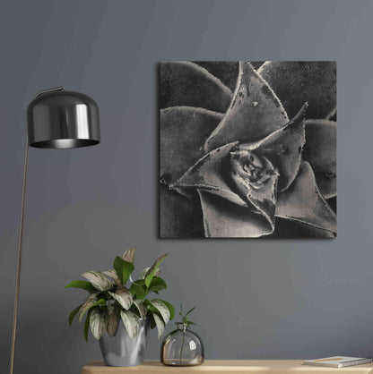 Luxe Metal Art 'Seattle Succulents' by Gary Horsfall, Metal Wall Art,24x24