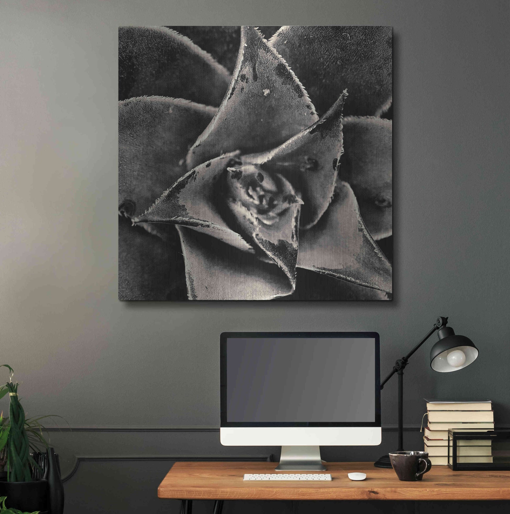 Luxe Metal Art 'Seattle Succulents' by Gary Horsfall, Metal Wall Art,36x36