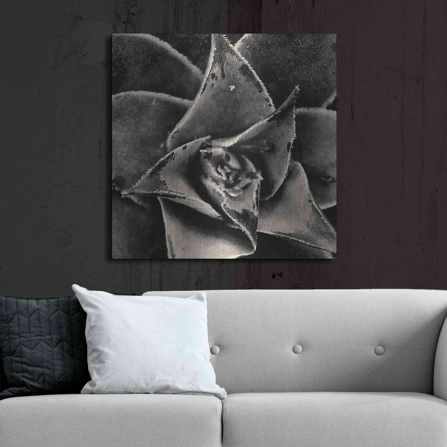 Luxe Metal Art 'Seattle Succulents' by Gary Horsfall, Metal Wall Art,36x36