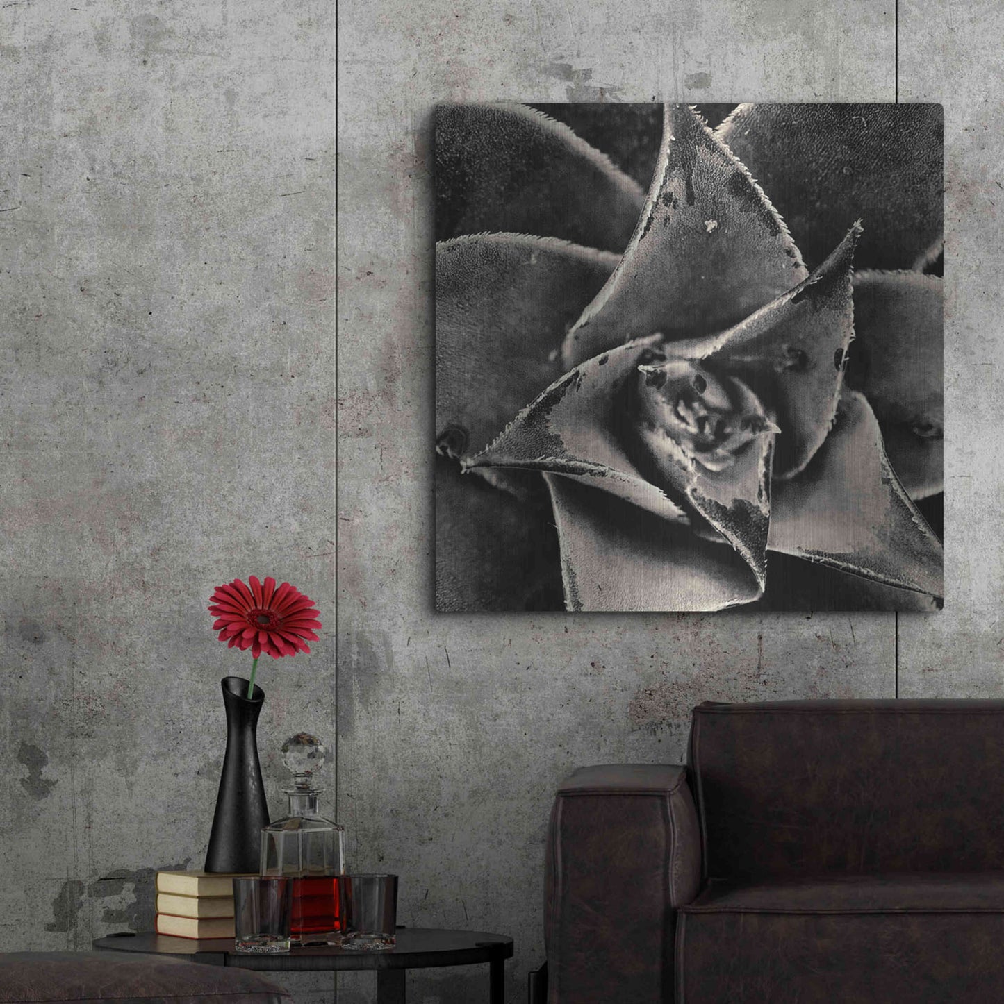 Luxe Metal Art 'Seattle Succulents' by Gary Horsfall, Metal Wall Art,36x36