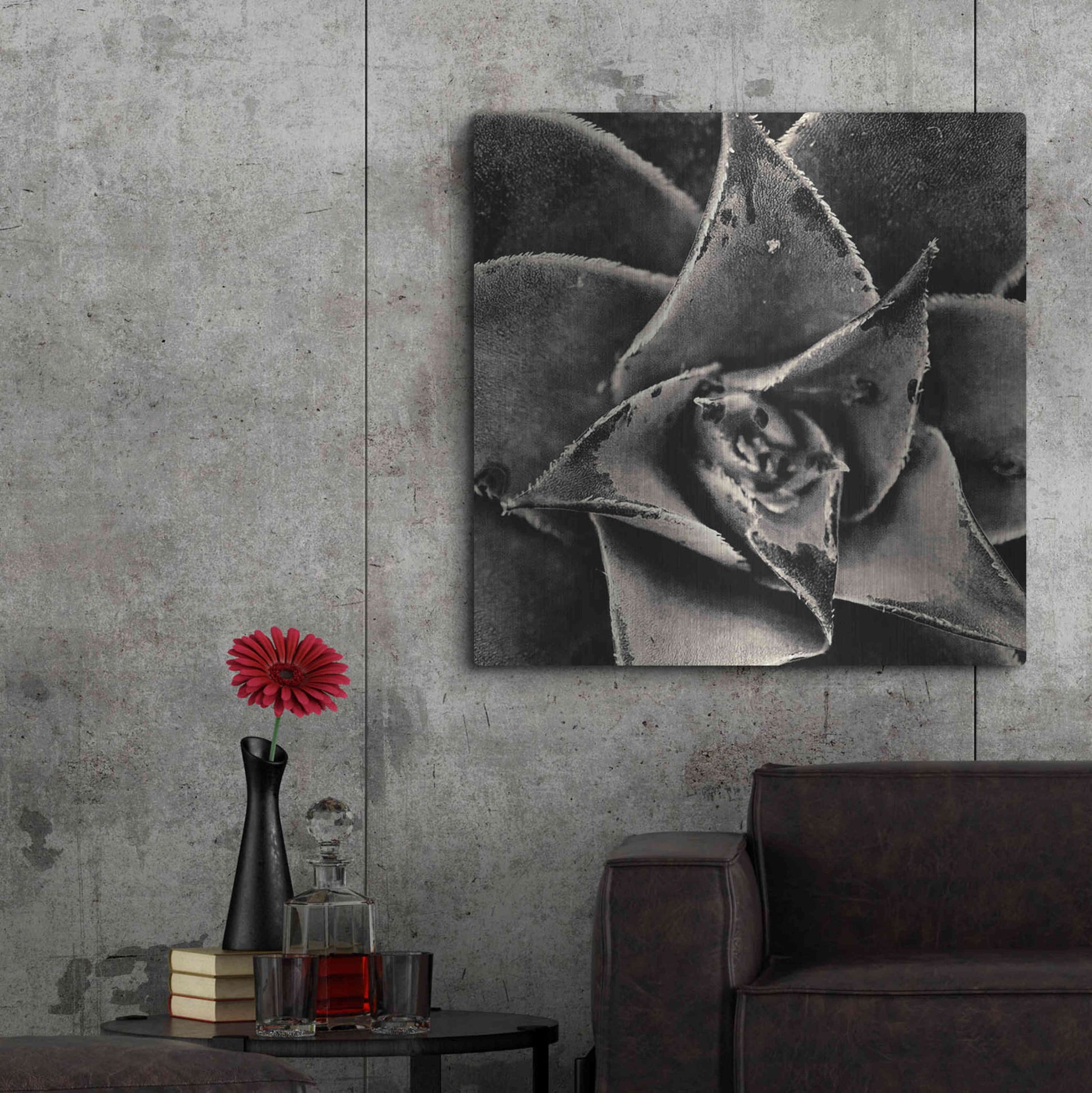 Luxe Metal Art 'Seattle Succulents' by Gary Horsfall, Metal Wall Art,36x36