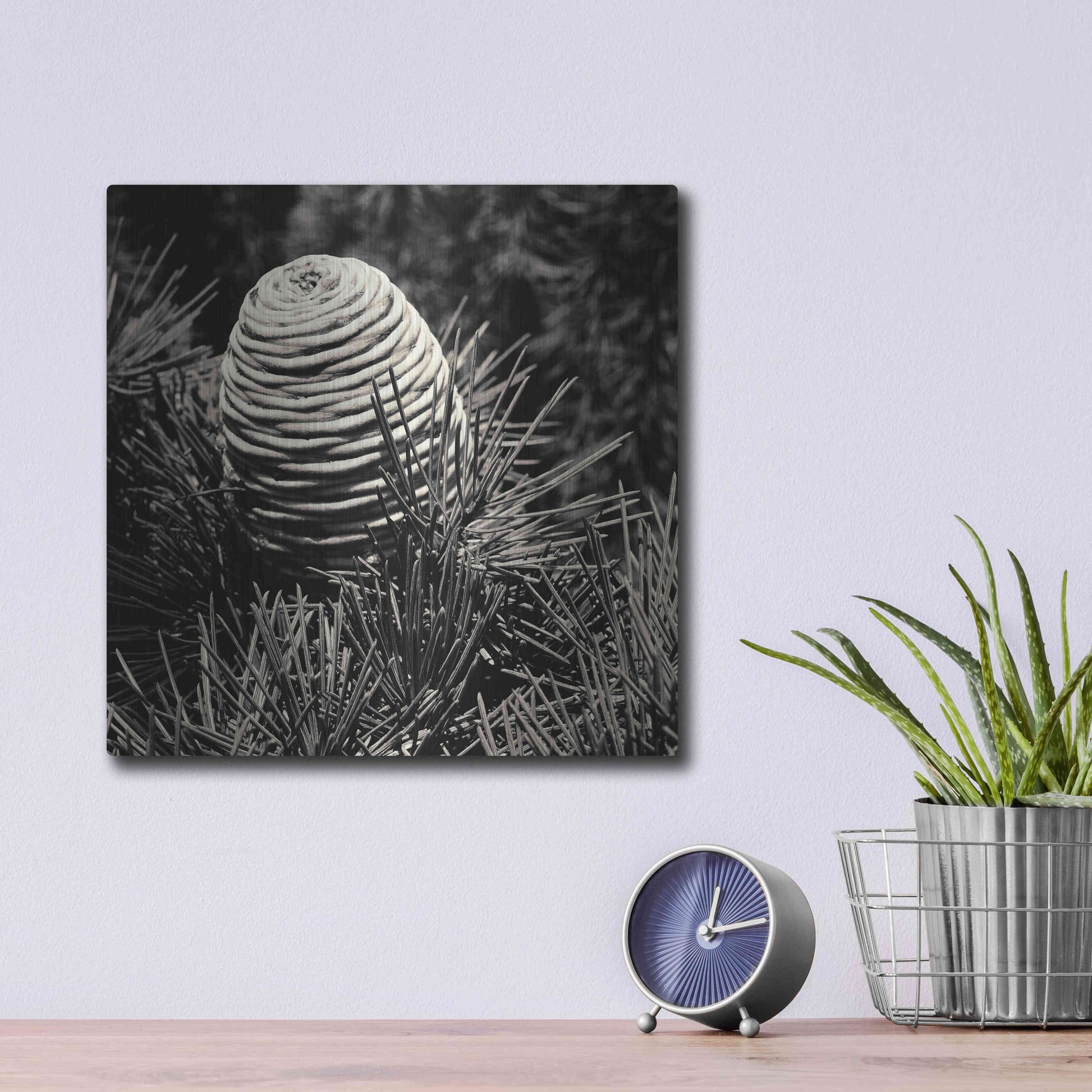 Luxe Metal Art 'Spruce Cone' by Gary Horsfall, Metal Wall Art,12x12