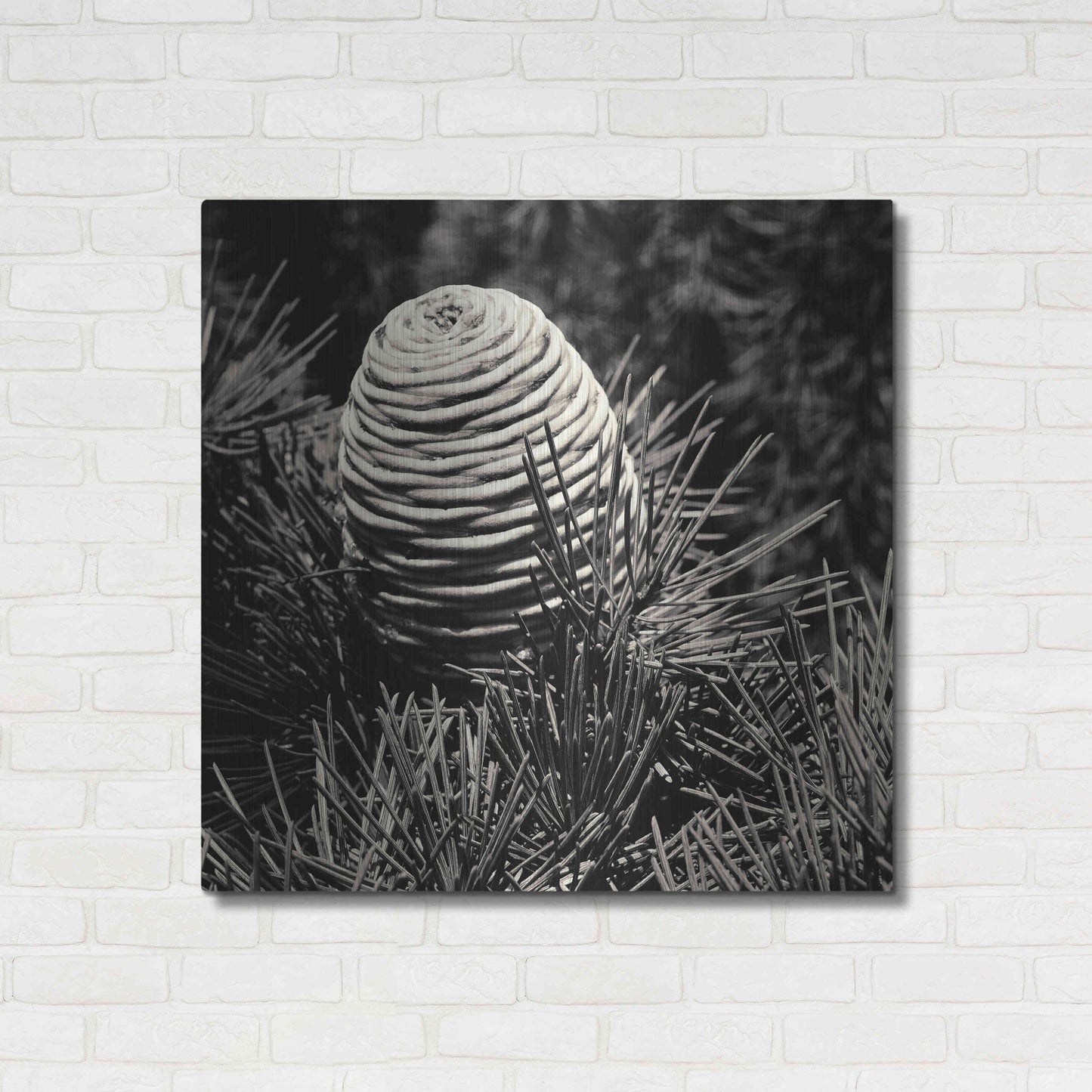 Luxe Metal Art 'Spruce Cone' by Gary Horsfall, Metal Wall Art,36x36