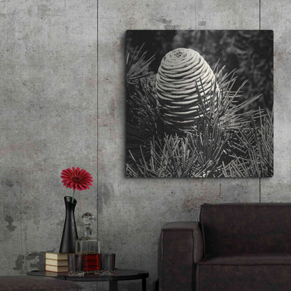 Luxe Metal Art 'Spruce Cone' by Gary Horsfall, Metal Wall Art,36x36