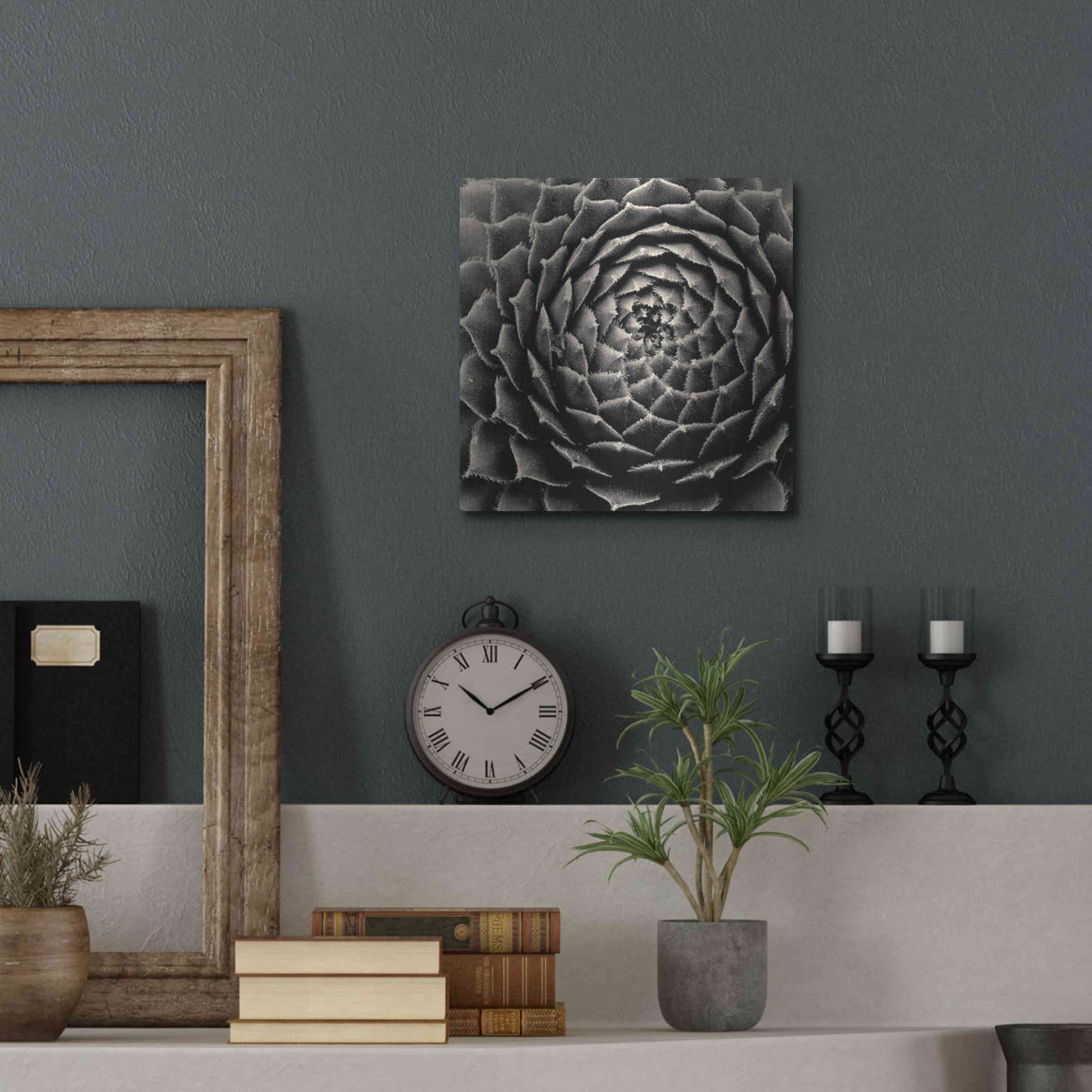 Luxe Metal Art 'Succulent' by Gary Horsfall, Metal Wall Art,12x12