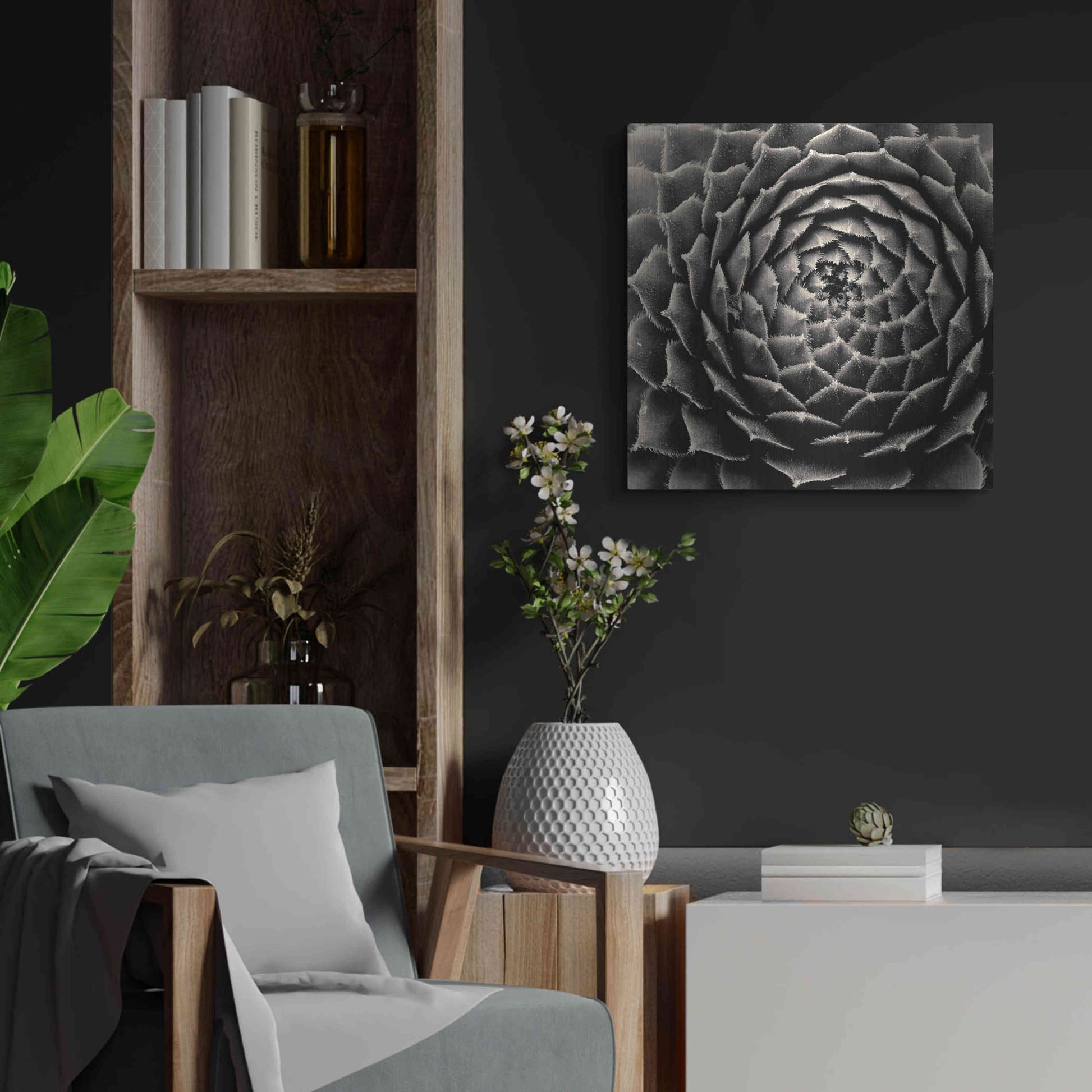 Luxe Metal Art 'Succulent' by Gary Horsfall, Metal Wall Art,24x24