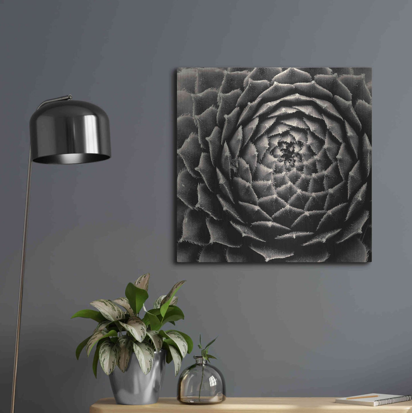 Luxe Metal Art 'Succulent' by Gary Horsfall, Metal Wall Art,24x24