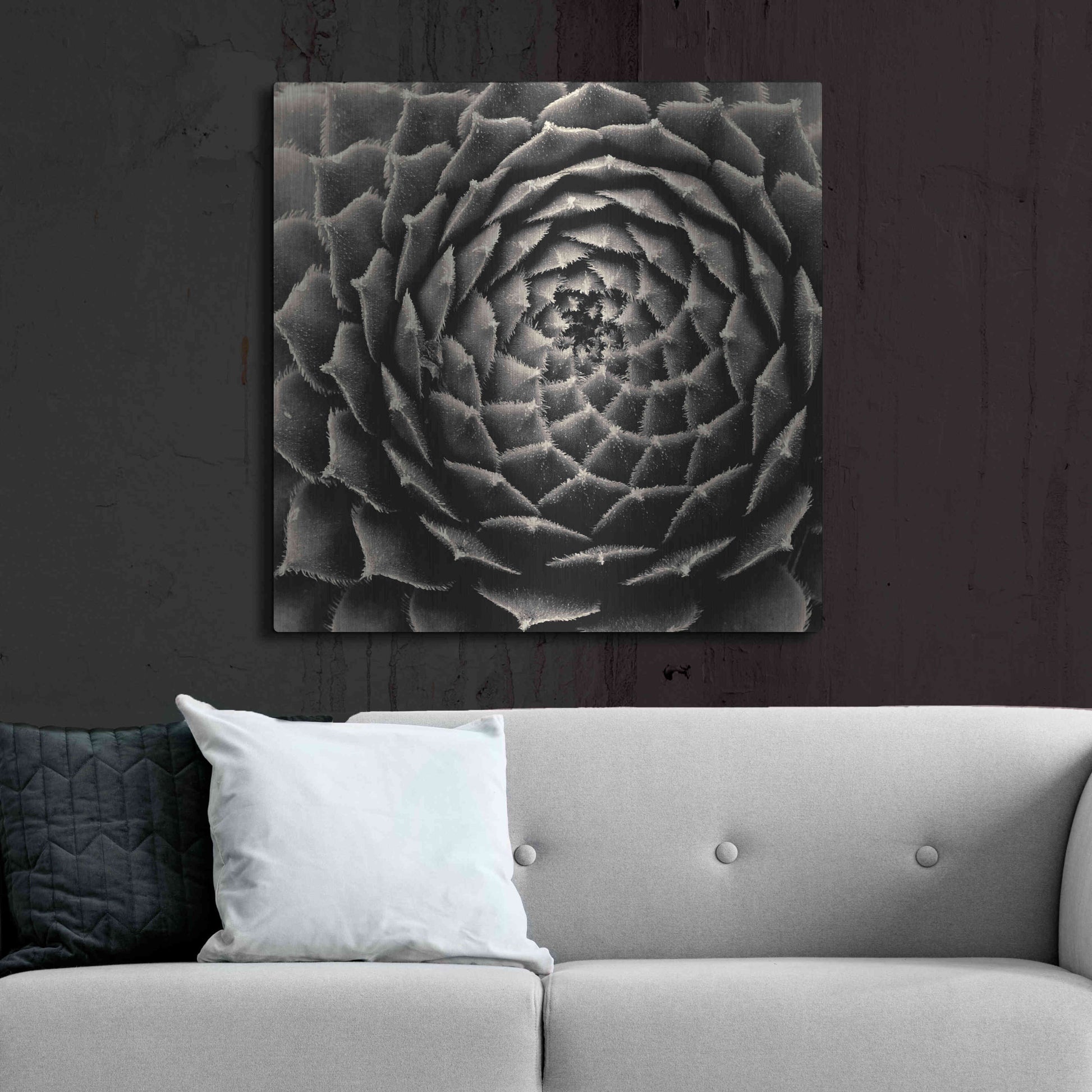 Luxe Metal Art 'Succulent' by Gary Horsfall, Metal Wall Art,36x36