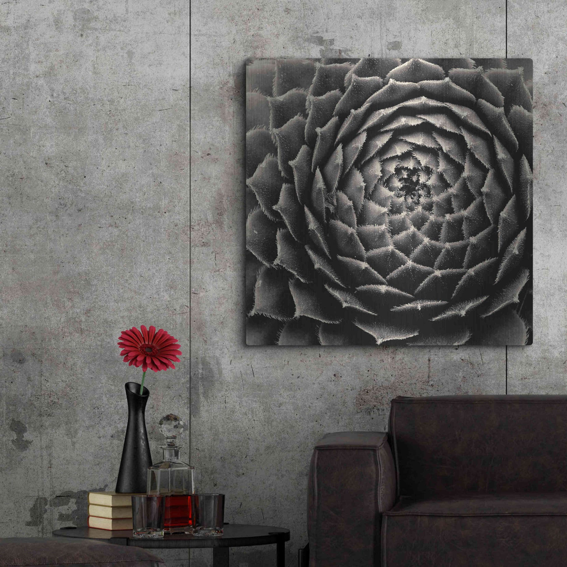 Luxe Metal Art 'Succulent' by Gary Horsfall, Metal Wall Art,36x36