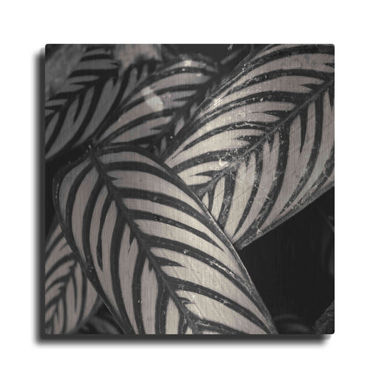 Luxe Metal Art 'Varigated Leaves No. 2' by Gary Horsfall, Metal Wall Art