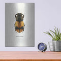 'Beetle Orange' by GraphINC – Metal Wall Art, 12x16 room view