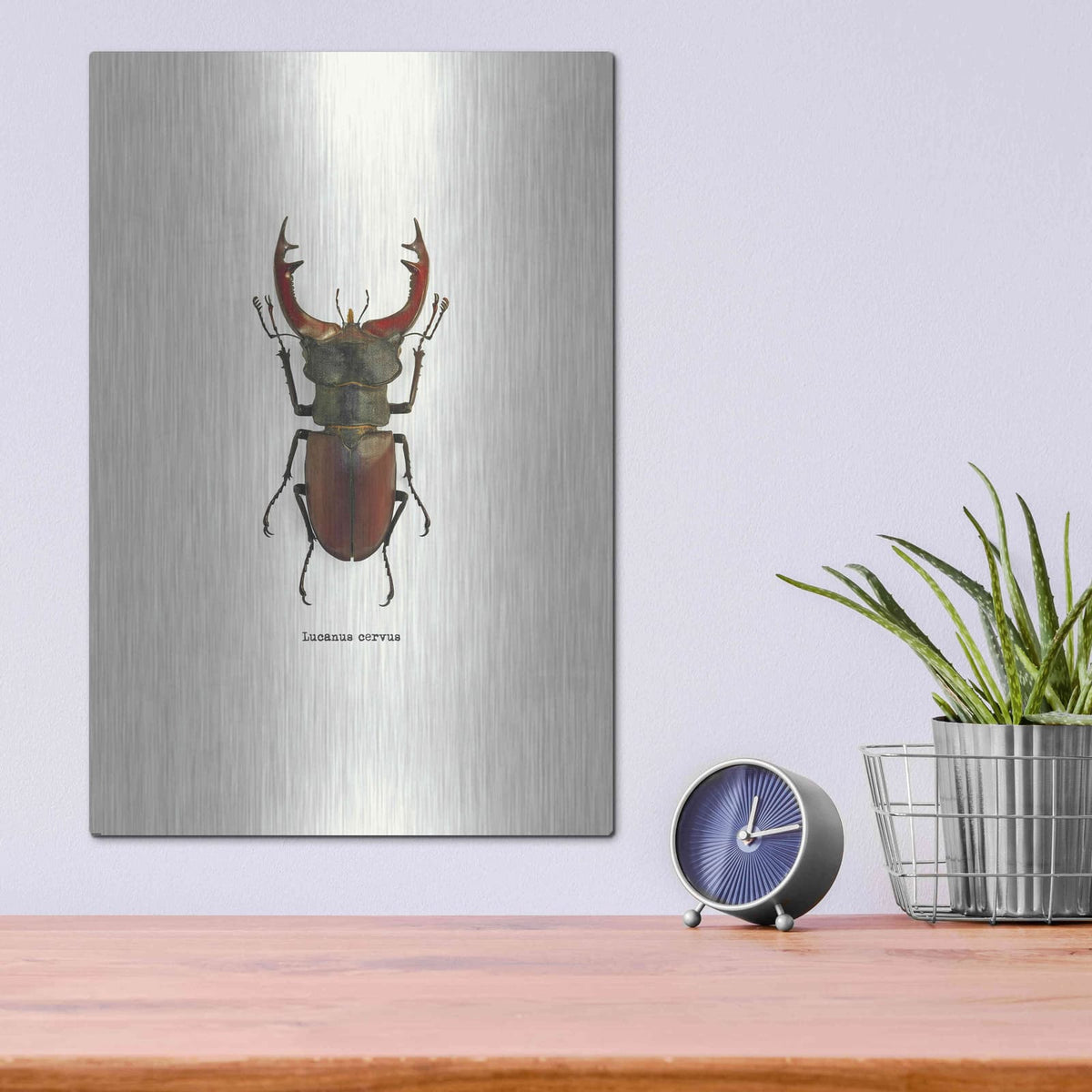 'Beetle Red' by GraphINC – Metal Wall Art, 12x16 room view