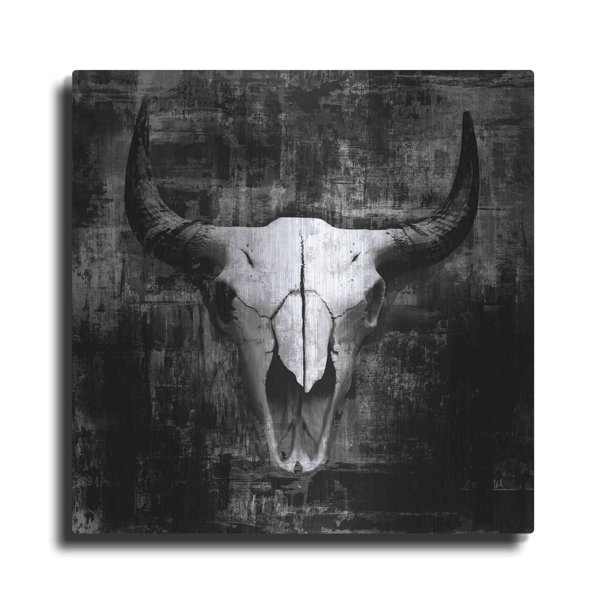 'Black Cowskull' by GraphINC – Metal Wall Art