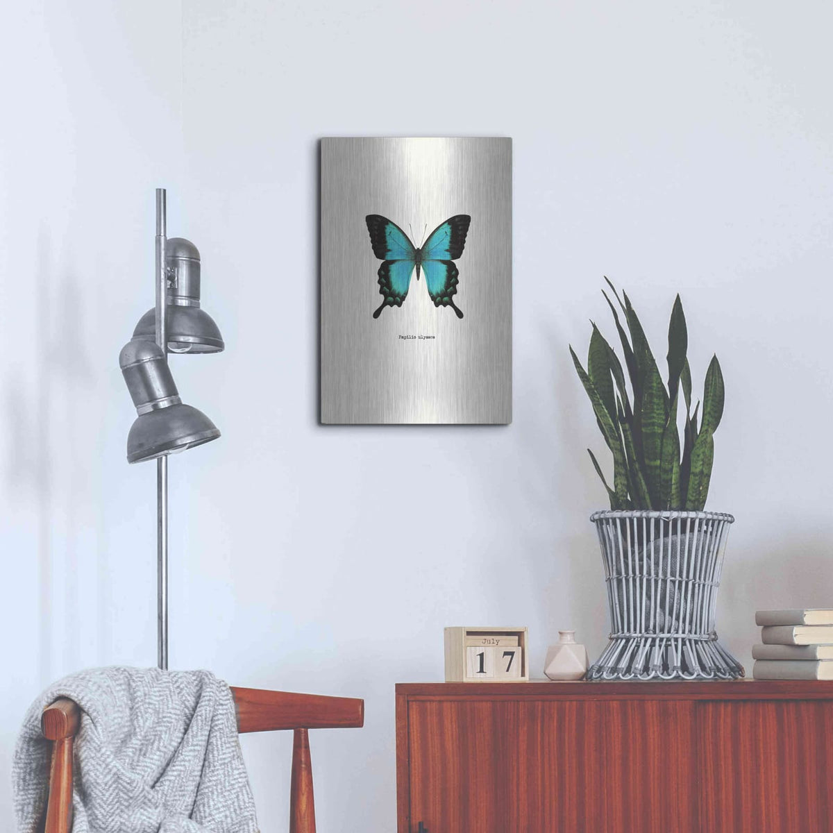 'Blue Butterfly' by GraphINC – Metal Wall Art, 16x24 room view