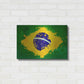 Luxe Metal Art 'Brazil' Metal Wall Art,24x16