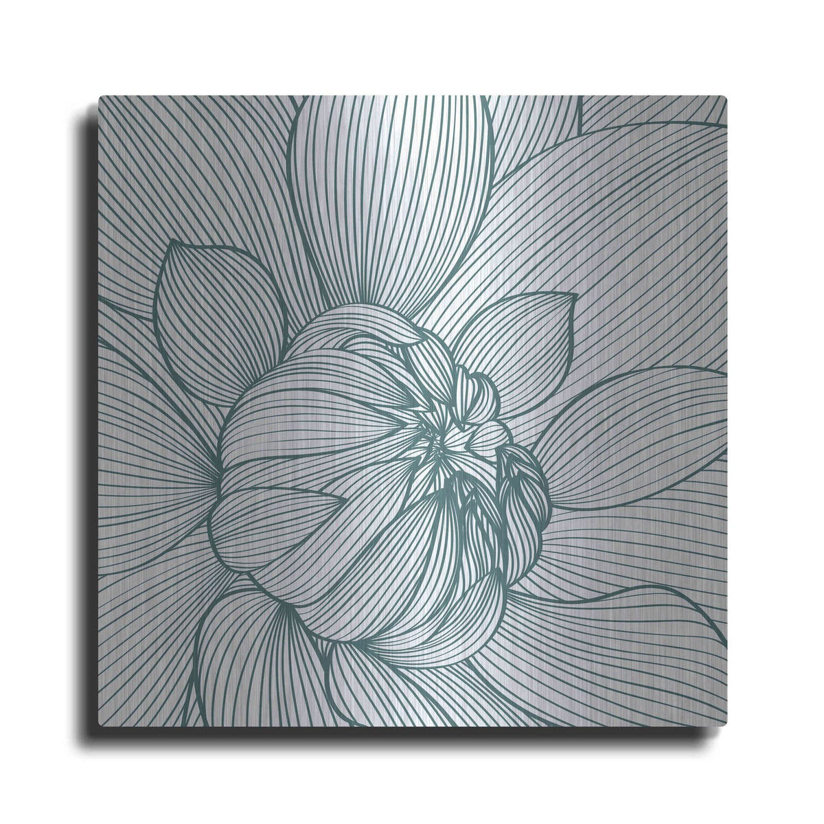 'Myrrhis Odorata I' by GraphINC – Metal Wall Art