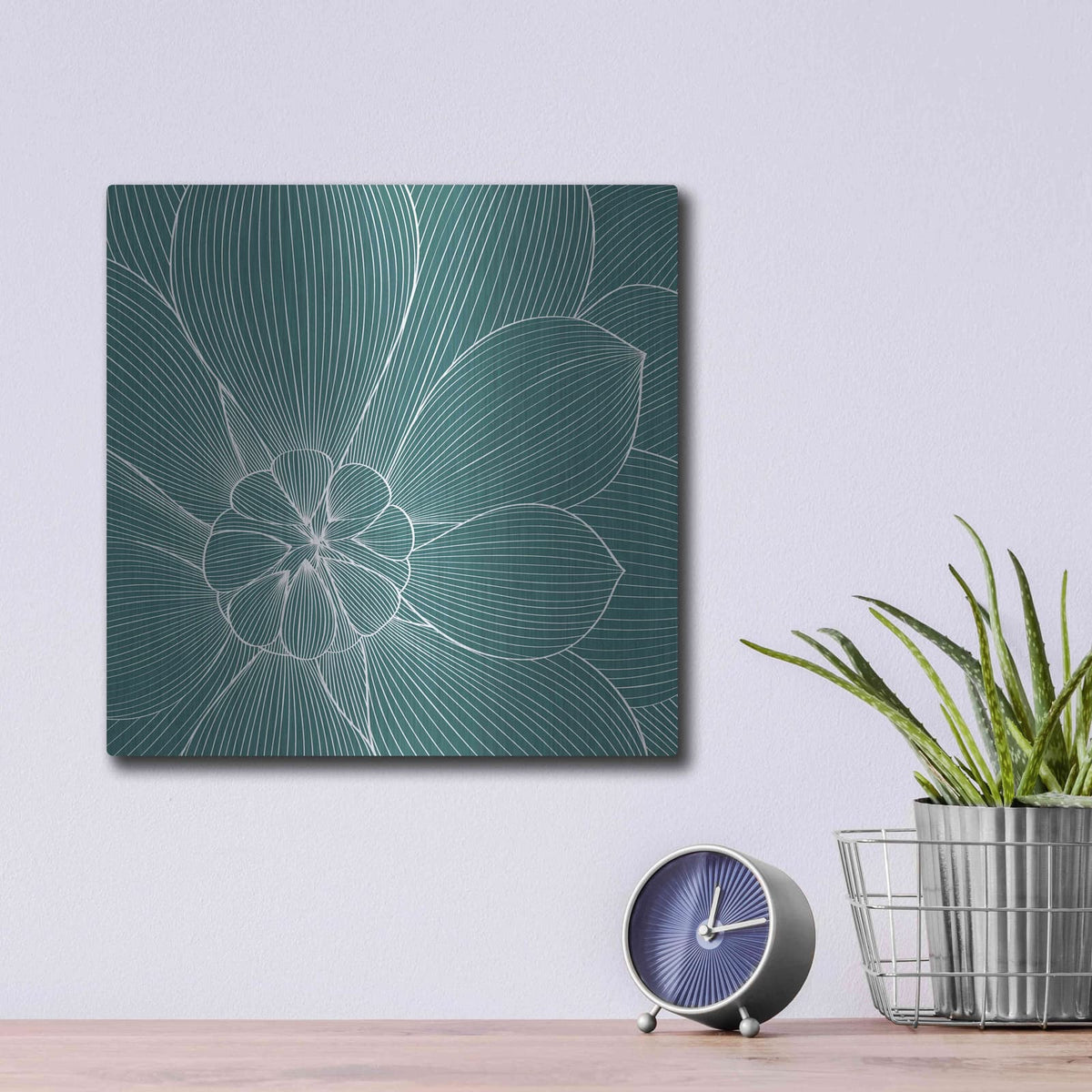 'Myrrhis Odorata II' by GraphINC – Metal Wall Art, 12x12 room view