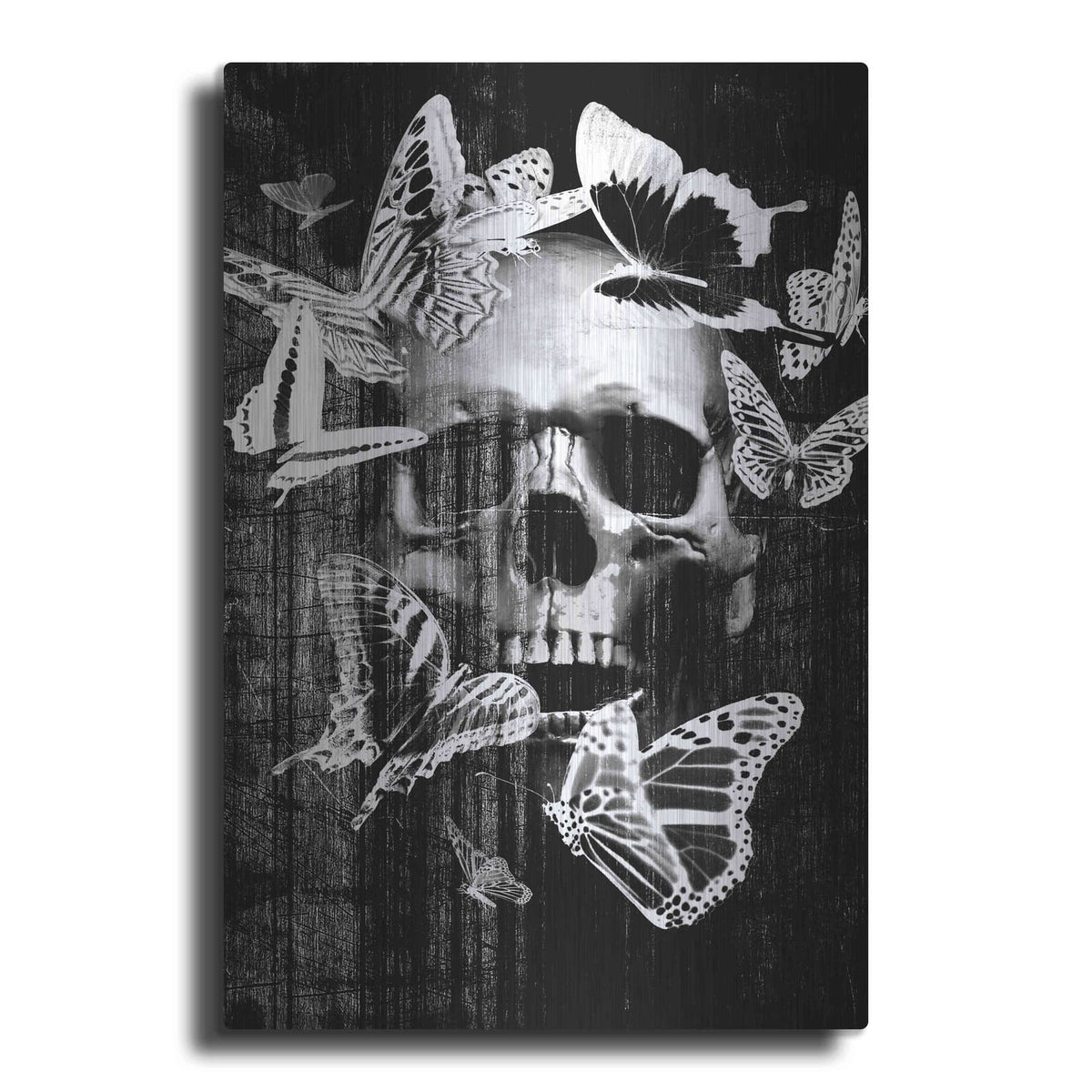 'Skull Butterfly Crown' by GraphINC – Metal Wall Art