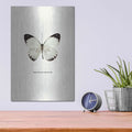 'White Butterfly' by GraphINC – Metal Wall Art, 12x16 room view