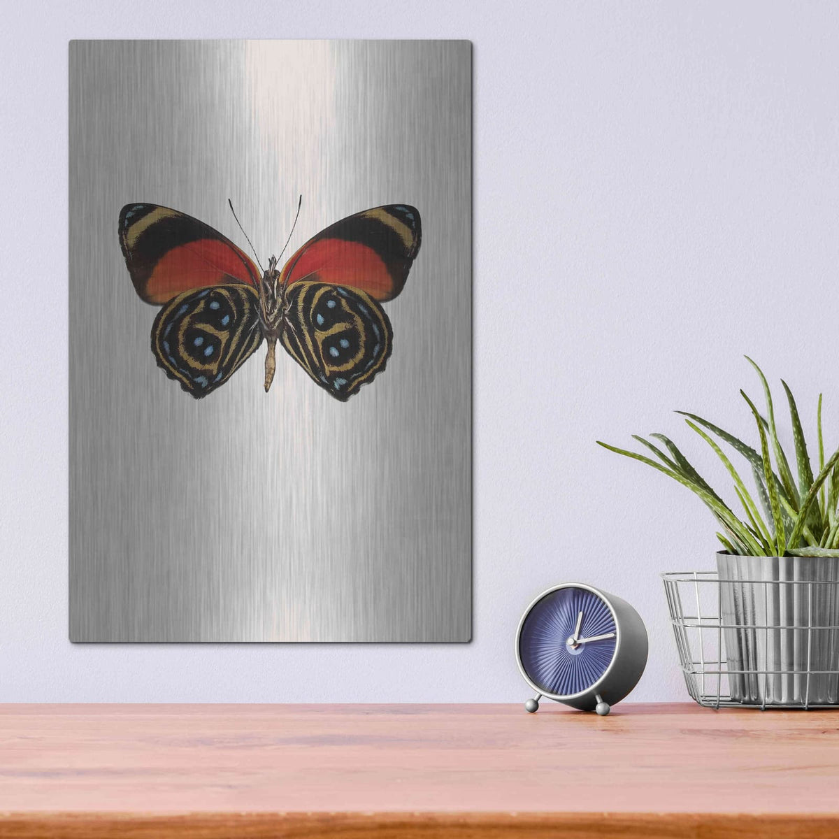 'Agrias Amydon 1' by Incado – Metal Wall Art, 12x16 room view