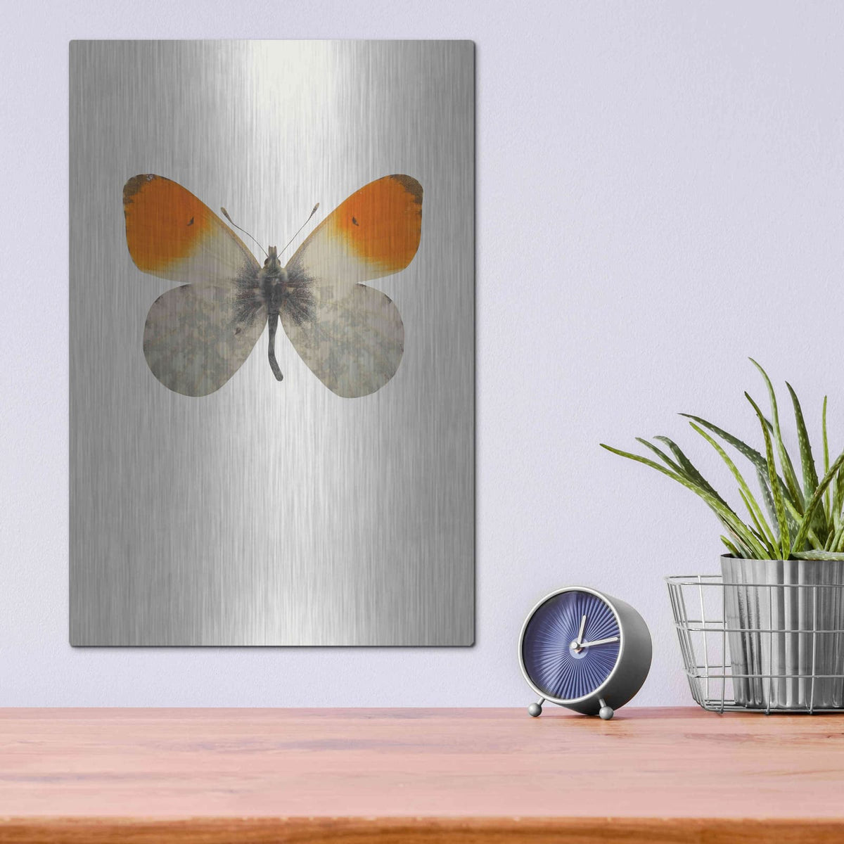 'Agrias Amydon 2' by Incado – Metal Wall Art, 12x16 room view