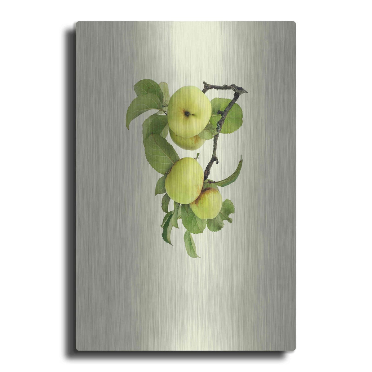 'Apple tree I' by Incado – Metal Wall Art