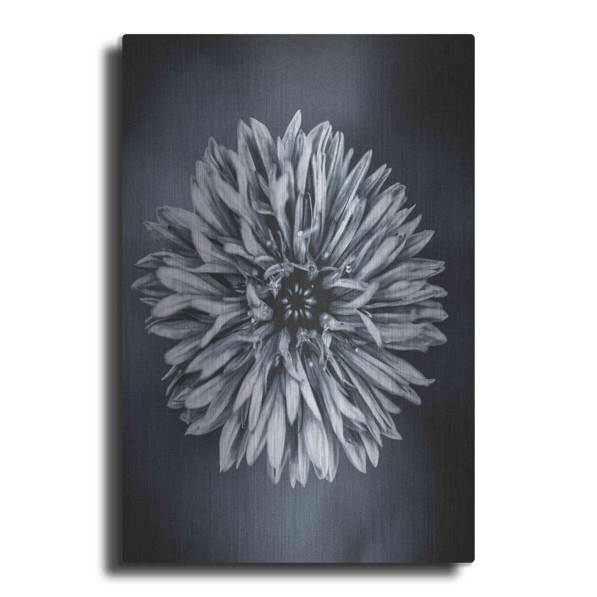 'Autumn I' by Incado – Metal Wall Art