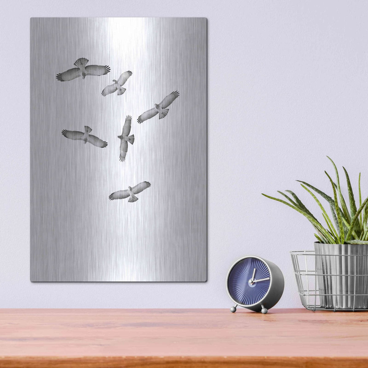 'Birds of Prey' by Incado – Metal Wall Art, 12x16 room view