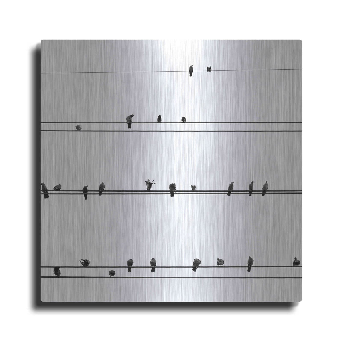 'Birds on the Line' by Incado – Metal Wall Art