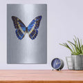 'Blue Butterfly' by Incado – Metal Wall Art, 12x16 room view